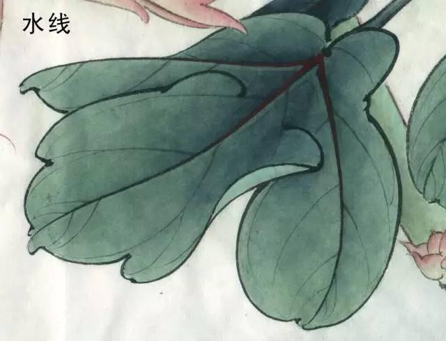 國畫工筆花鳥畫手法技巧-水線