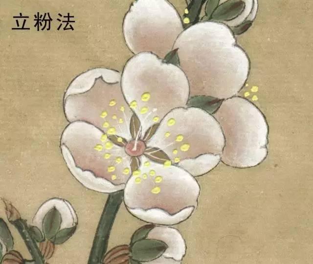 國畫工筆花鳥畫手法技巧-立粉法