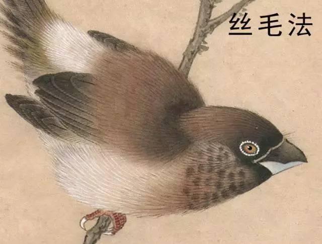 國畫工筆花鳥畫手法技巧-絲毛法
