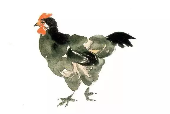 國(guó)畫(huà)入門(mén)-國(guó)畫(huà)母雞畫(huà)法