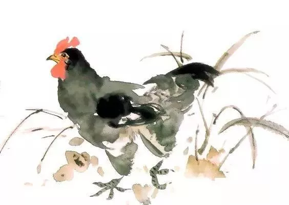 國(guó)畫(huà)入門(mén)-國(guó)畫(huà)母雞畫(huà)法