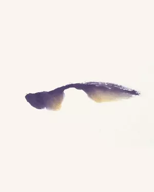畫家馮增木寫意金魚畫法圖5-2
