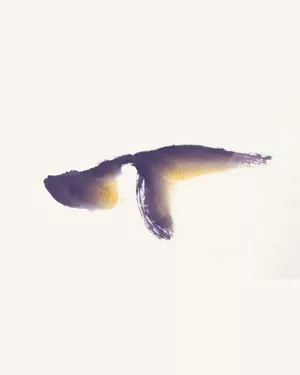 畫家馮增木寫意金魚畫法圖6-2