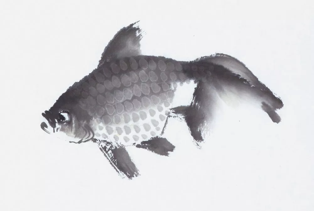 畫家馮增木寫意金魚畫法圖23