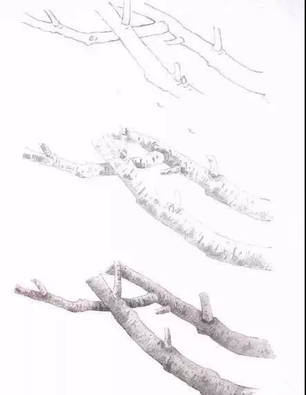 工筆梅花
