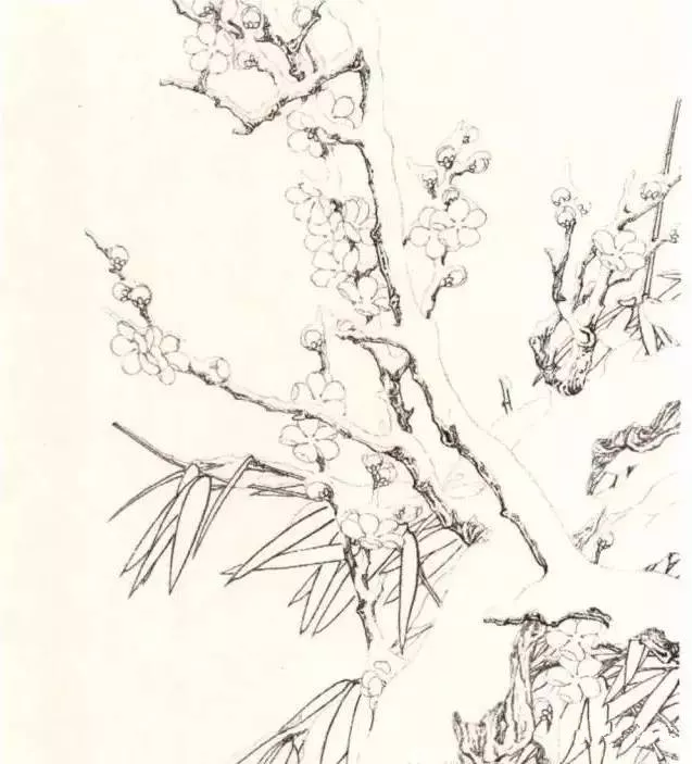 工筆梅花