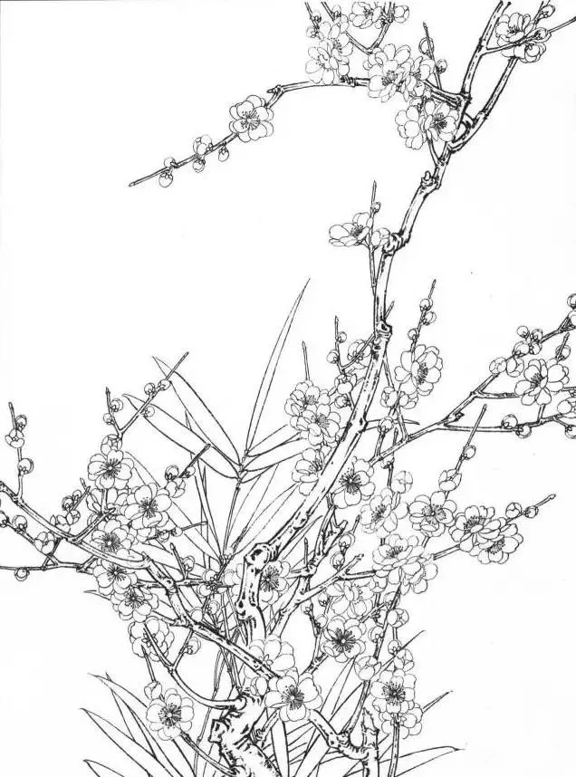 工筆梅花