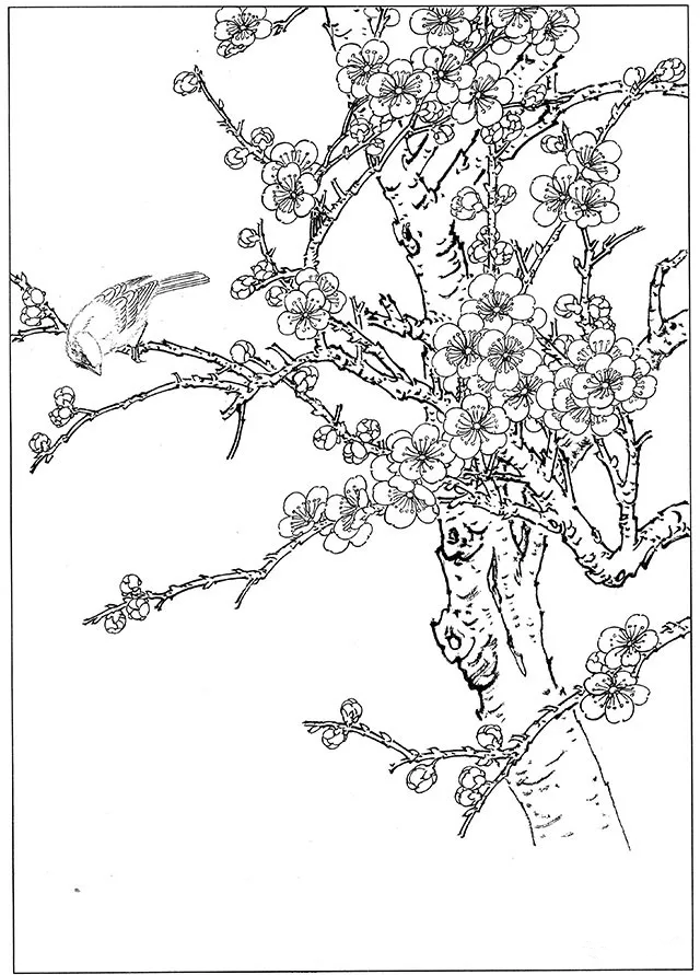工筆梅花