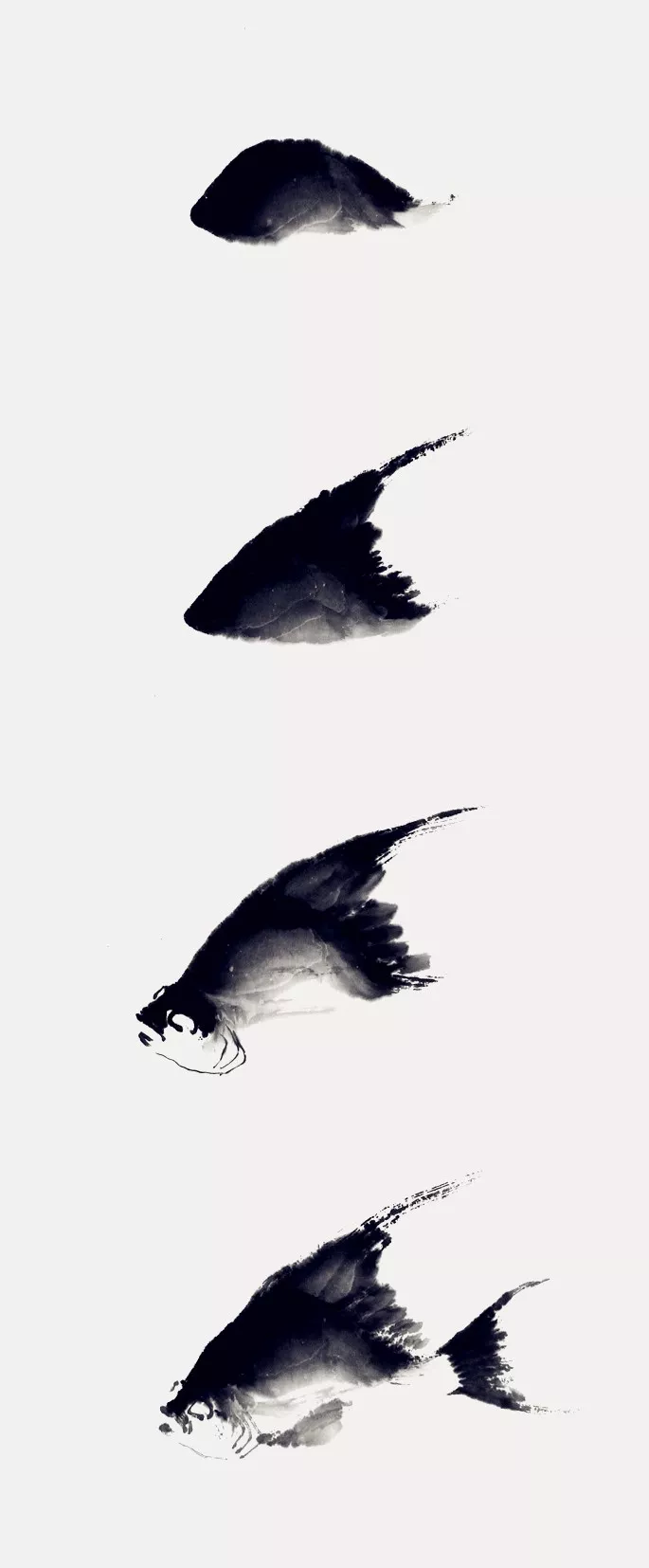 神仙魚畫法