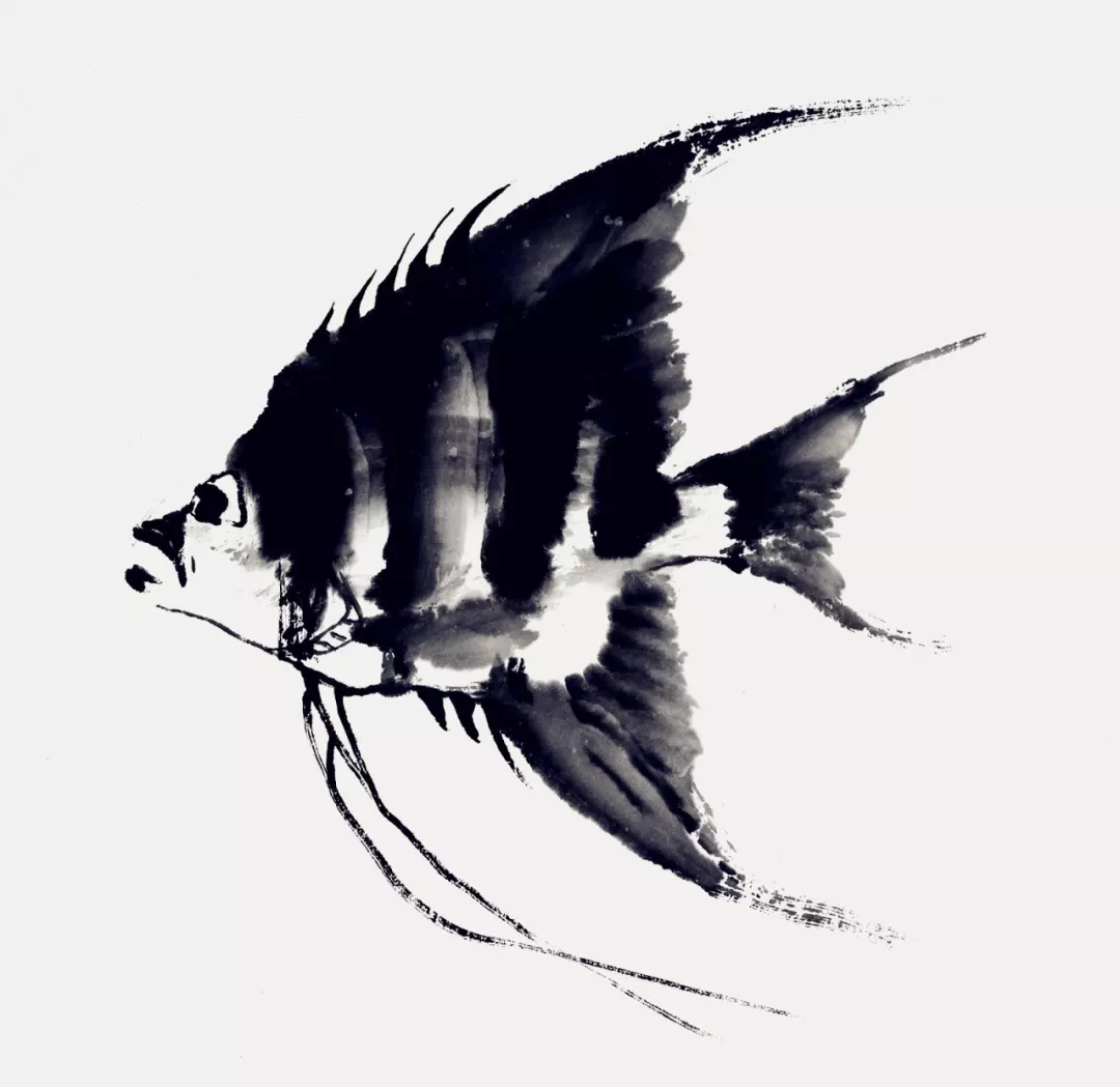 神仙魚畫法