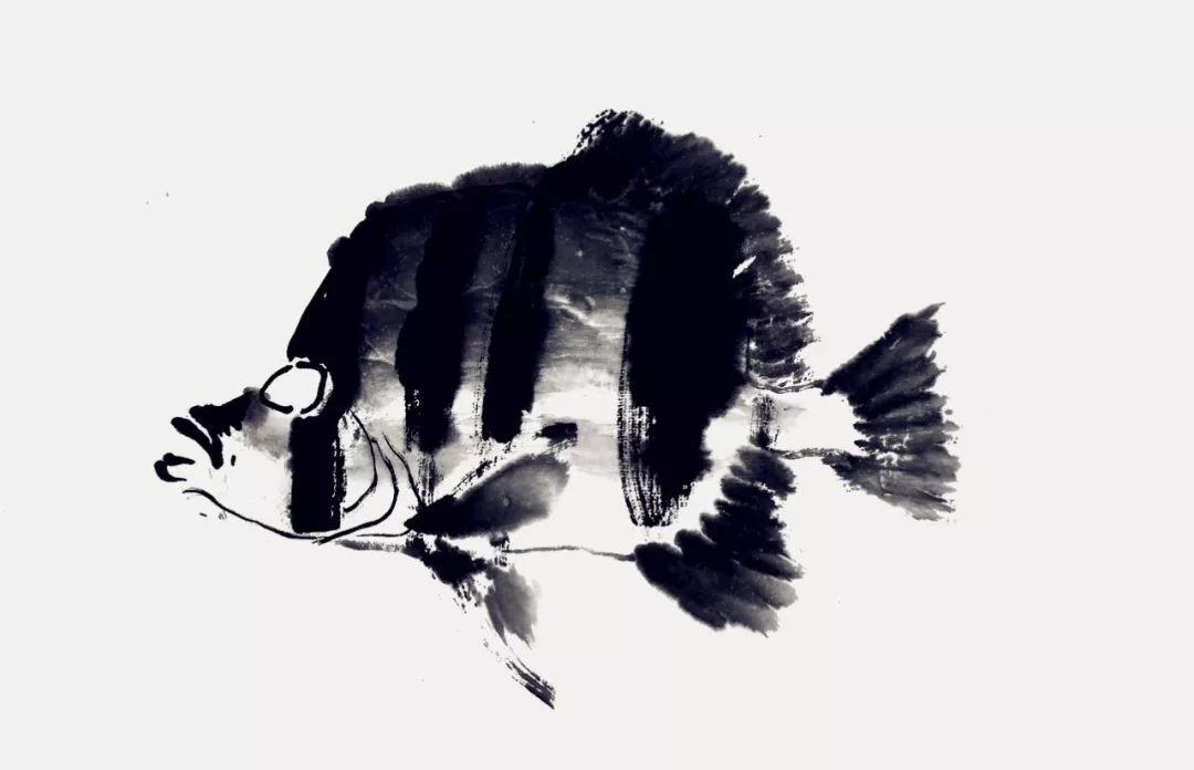 蝴蝶魚畫法