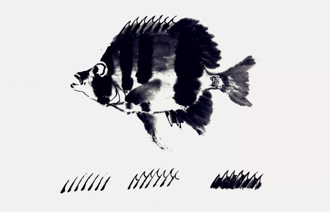 蝴蝶魚畫法