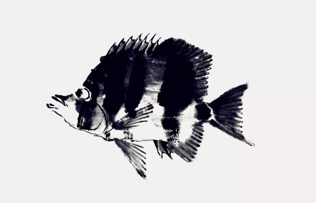 蝴蝶魚畫法