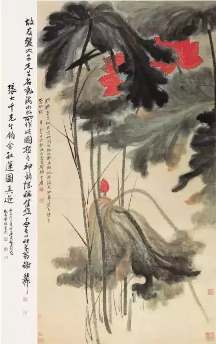 國畫大師張大千 荷花作品欣賞