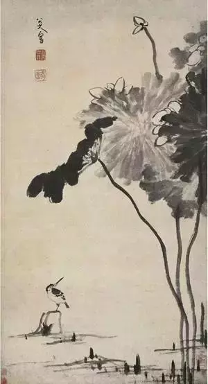 國畫大師八大山人 荷花作品欣賞