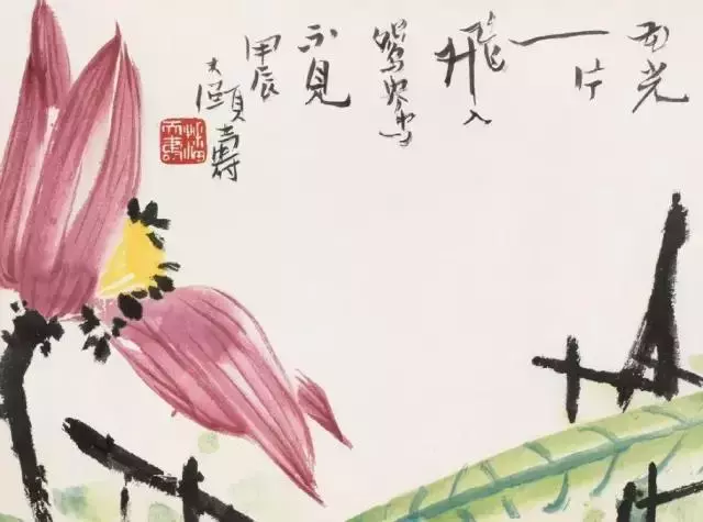 國畫大師潘天壽 荷花作品欣賞