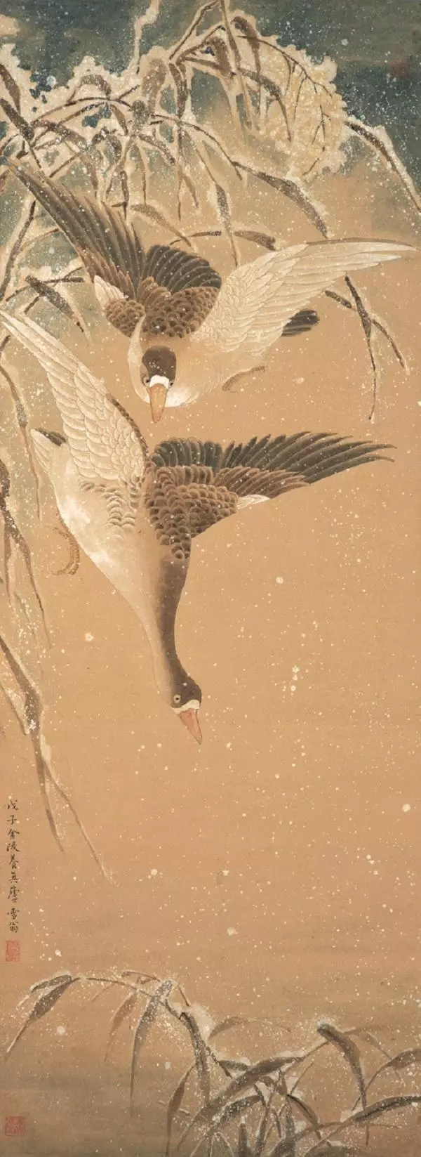 花鳥畫《蘆花雙雁》