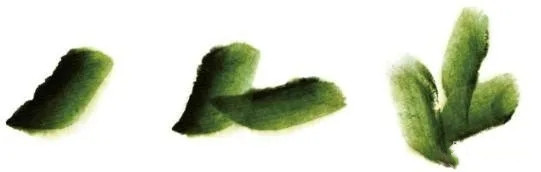 國(guó)畫(huà)柿子的畫(huà)法2