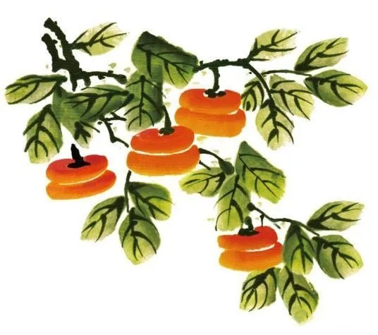 國(guó)畫(huà)柿子的畫(huà)法4