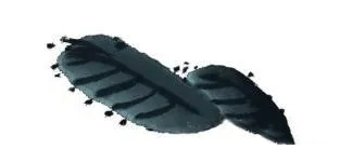 國(guó)畫(huà)枇杷的畫(huà)法4