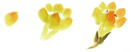 國(guó)畫(huà)南瓜的畫(huà)法3