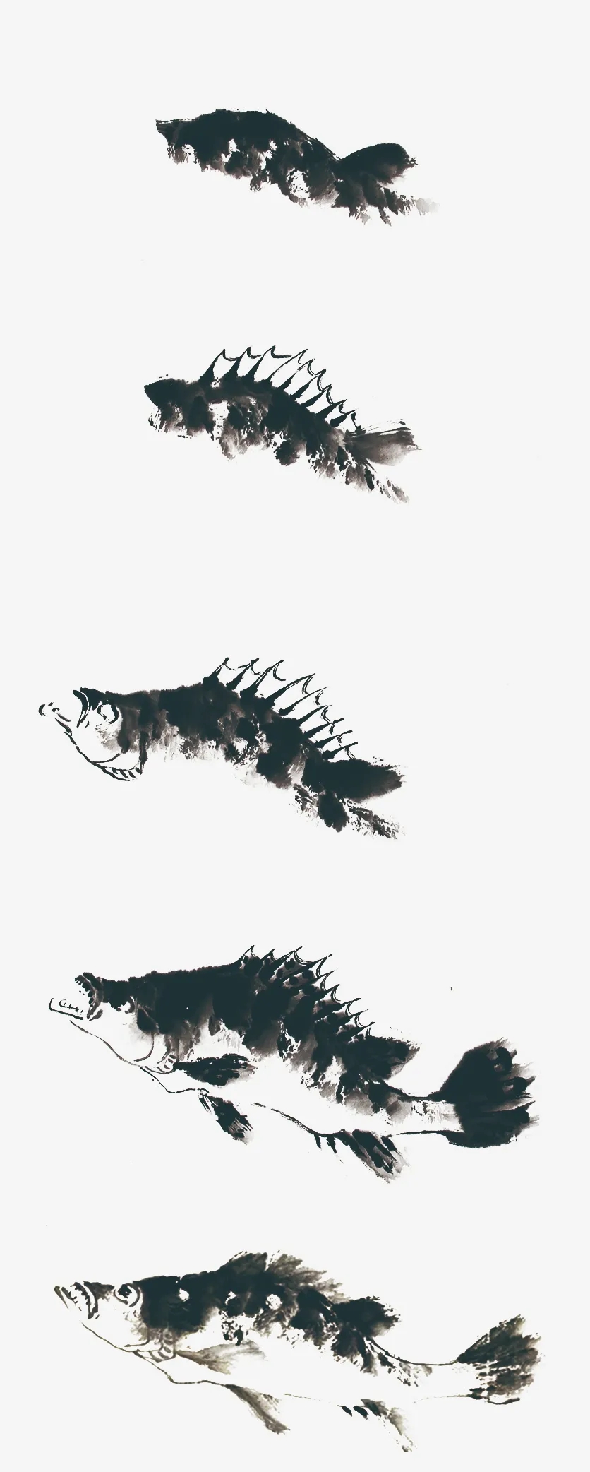 鱖魚(yú)的畫(huà)法