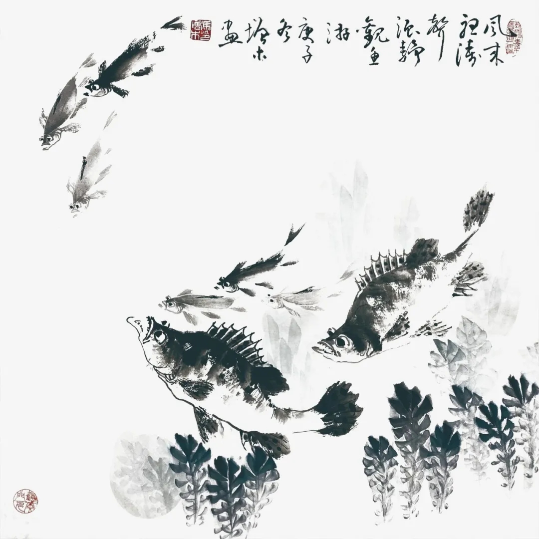 鱖魚(yú)的畫(huà)法