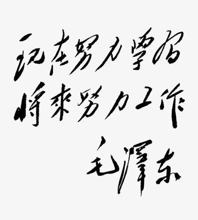 毛澤東書法：現(xiàn)在努力學(xué)習(xí)，將來努力工作